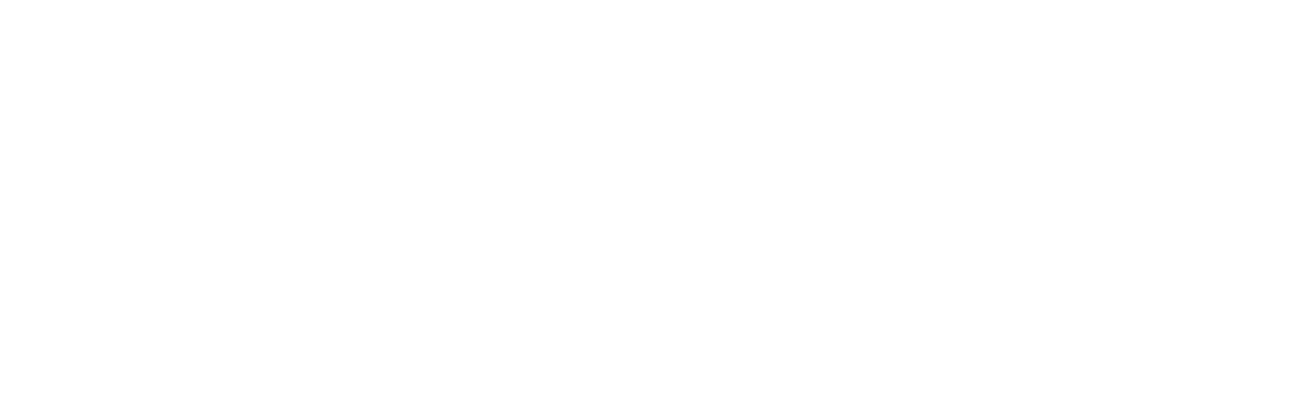 Bluleaf® - Sysman Progetti & Servizi s.r.l.