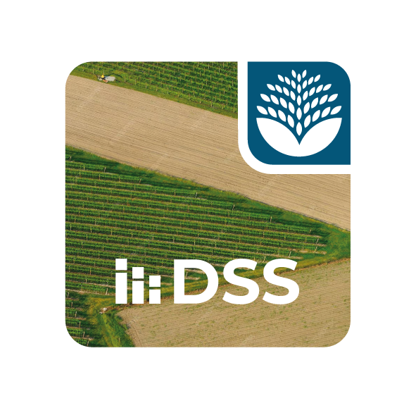 BLULEAF DSS